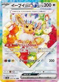 Eevee ex 224 187 224/187